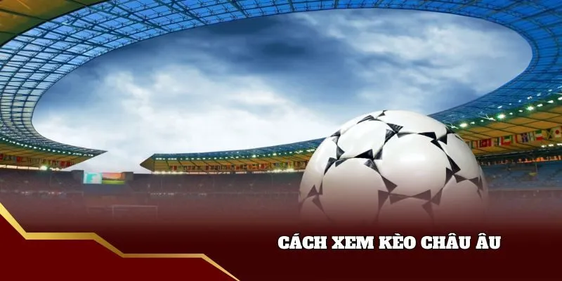 Cách xem kèo bóng đá 1x2
