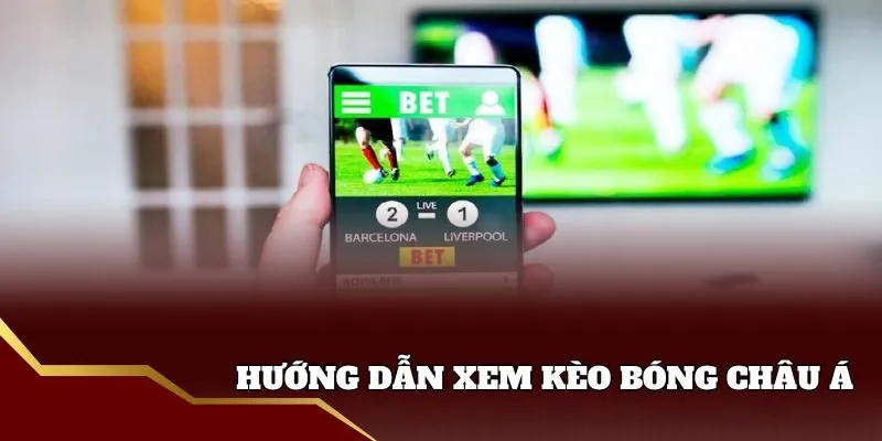Cách xem kèo bóng đá Handicap