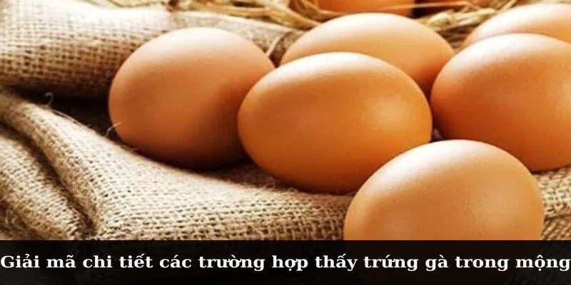 Giải mã chi tiết các trường hợp thấy trứng gà trong mộng
