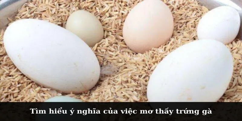 Tìm hiểu ý nghĩa của việc mơ thấy trứng gà